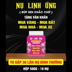 mua nhà mua đất mua xe